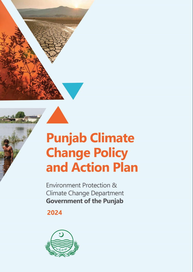 Punjab Local Government ACT 